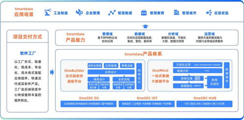中國軟件網對話數睿數據CEO 深挖數據驅動的企業級無代碼計算機軟硬件